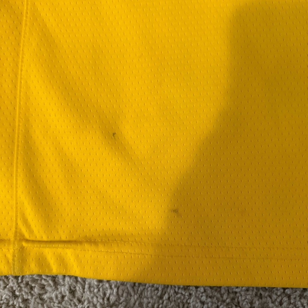Nike LA Laker Lebron James Jersey - Picture 3 of 7